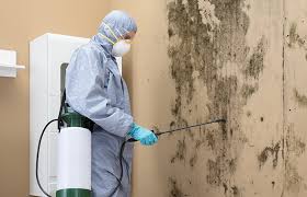 Trusted Tainter Lake, WI Mold Removal & Remediation Experts